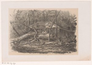 Fallen Tree at Buitenlust, After the Storm of May 28, 1860 (Album of Ten Lithographed Sketches)