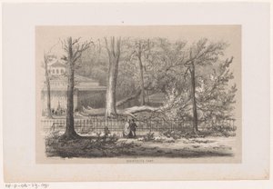 Fallen Tree by the Society, After the Storm of May 28, 1860
