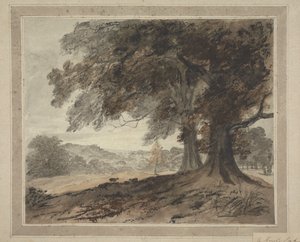 In Knole Park