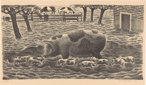 Sow with Eight Piglets