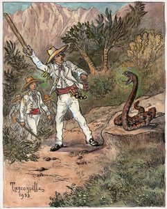Snake Attack