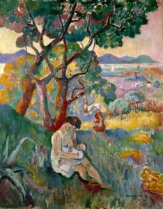 Saint-Tropez, View from Villa Demièré