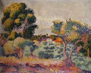 Eucalyptus and Olive Grove