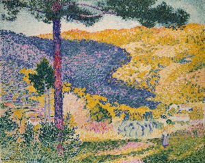 Valley with Fir Shade on the Mountain