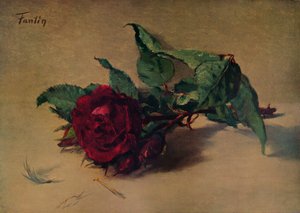 Red Rose