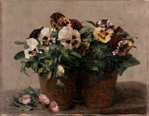 Still Life: Pansies and Daisies