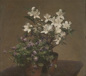 Violets and azaleas