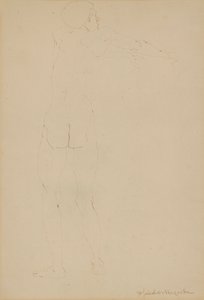 Male Nude