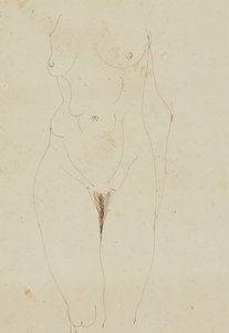 Female Nude Torso