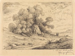 Stand of Trees with Rocks