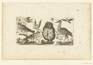 Nine Birds and an Insect (Birds)