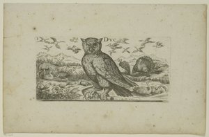 Owl and Other Birds Birds (series title) by Henri Le Roy
