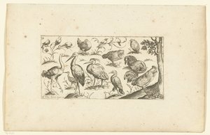 Fifteen birds (Birds series)