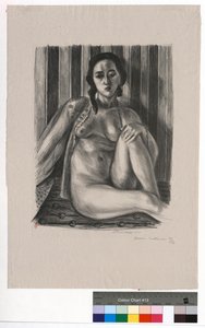Seated Nude with Tulle Shirt by Henri Matisse
