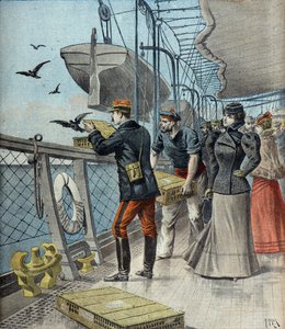 Captain Reynaud Experimenting with Carrier Pigeons Aboard the Liner La Bretagne
