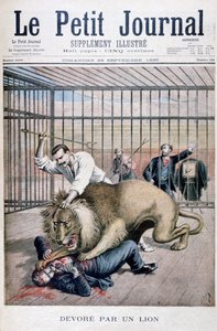 Lion Attack, 1895