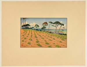 Douarnenez Seen from the Road of Ris by Henri Rivière