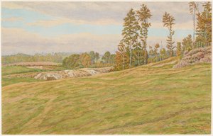 Surroundings of Clères by Henri Rivière