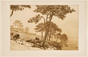 Misty Morning by Henri Rivière