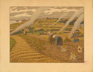Work in the Field