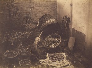 Still Life with Straw Baskets, Broom, Opened Sack of Potatoes and Potted Plants by Henri Victor Regnault