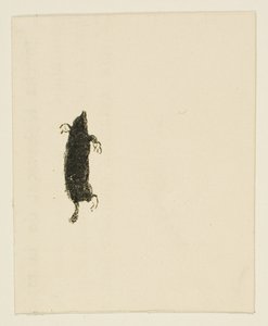 Tailpiece from Au Pied du Sinaï by Henri de Toulouse-Lautrec