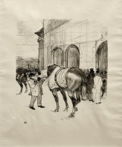 The Paddock