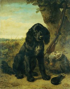 A Flat Coated Retriever by a Tree by Henriëtte Ronner Knip