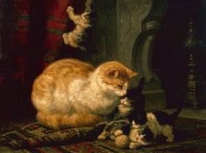 Kittens at Play