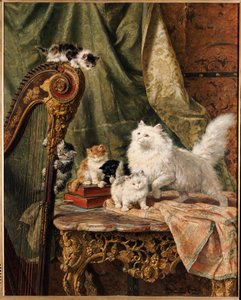 A Musical Interlude