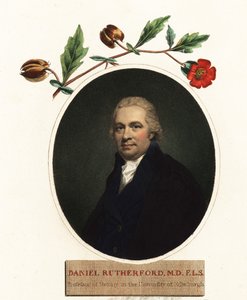 Portrait of Daniel Rutherford, Botanist (engraving) by Henry (after) Raeburn