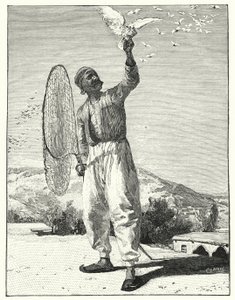 Snaring birds in housetop in the East by Henry Andrew Harper