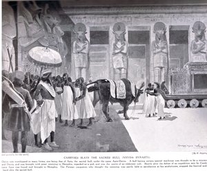 Cambyses Slays the Sacred Bull, Illustration from 