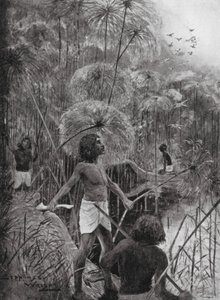 Killing Birds in the Marshes by Henry Charles Seppings Wright