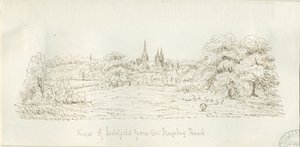 Lichfield - North View (distant) by Henry Curzon Allport