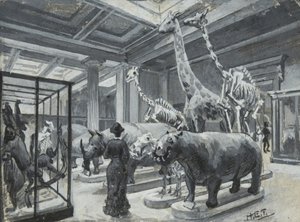 Interior view of the British Museum showing the gallery containing animal exhibits, c.1880 by Henry Edward Tidmarsh
