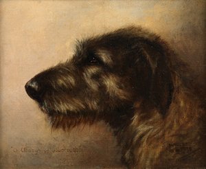 Champion Clodagh of Ouborough, an Irish Wolfhound by Henry Frederick Lucas Lucas