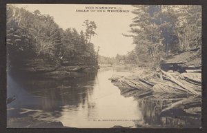 The Narrows Dells of the Wisconsin by Henry Hamilton Bennett