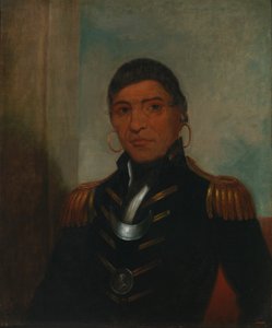 Big Buffalo (Chippewa) by Henry Inman
