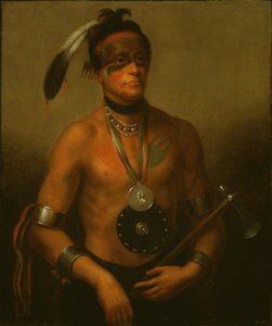 Hoo-Wan-Ne-Ka (Little Elk) by Henry Inman