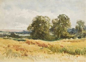 Harvest Field, c.1910