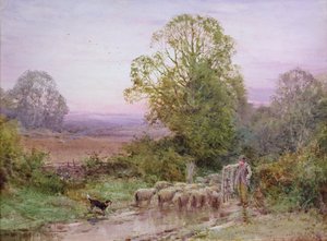 Herding the Sheep