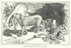 How the Lioness Saved Malchus
