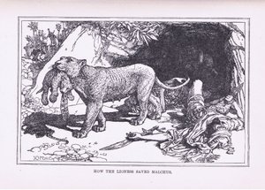 How the Lioness Saved Malcus by Henry Justice Ford