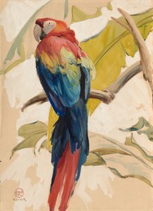 Old Grumpy by Henry Keller