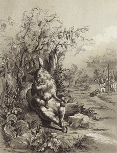 The Fables of Aesop: The Hare and the Tortoise
