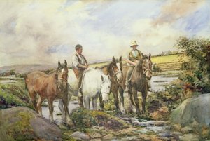 Horses Watering