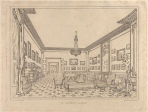 Mr. Fawkes Gallery