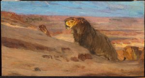 Lions in the Desert