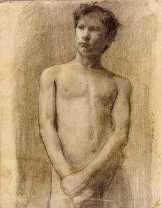 Study of a Young Man